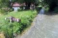 Bei der Naturkostm&uuml;hle