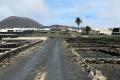 Landwirtschaft bei El Islote (Lanzarote) - © RoRadln - Kurt Schmidt